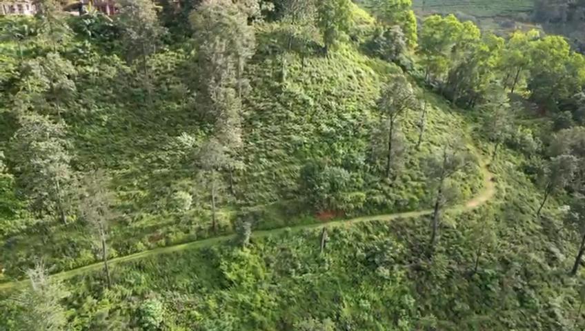 Nature'S Rest เอลลา ภายนอก รูปภาพ