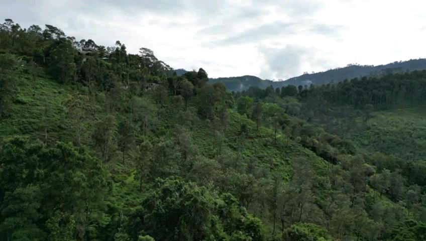 Nature'S Rest เอลลา ภายนอก รูปภาพ